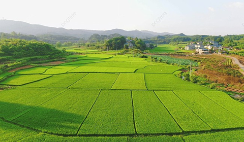 Đất cho nhà đầu tư thuê thực hiện dự án có phải chuyển mục đích sử dụng? – Góc nhìn pháp lý từ quy định mới của Luật Đất đai và Nghị định hướng dẫn 3 chuyen muc dich su dung dat thuc hien du an dau tu