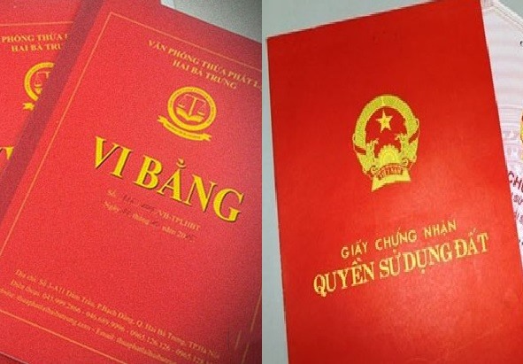 Vi Bang La Gi 01